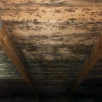 Ceiling infested with mold