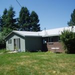 back area of small house surrounded with tall trees