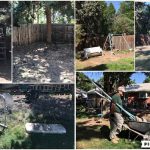 A collage of photos showing a backyard or outdoor space