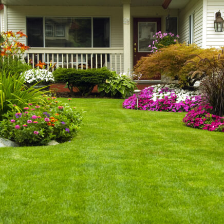 Maintained yard with clean grass, flowers, and plants