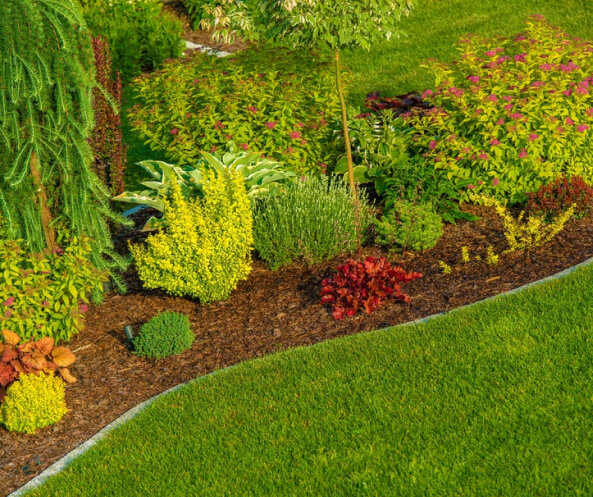 Newly designed landscape