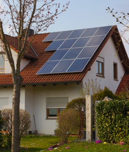 img - rooftop-solar-panels-yellow-flowers-south-germany-springtime-sunny-day
