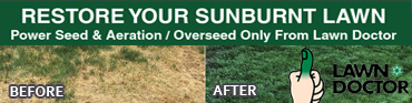 ad banner for Lawn Doctor