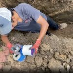 Sewer Lines Only Staff