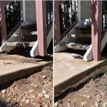 before and after comparison of concrete leveling near the steps